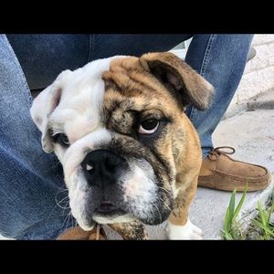 Meet your Posher, Andy